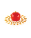 Lot de 2 pochoirs fleurs de lotus en silicone - photo 2