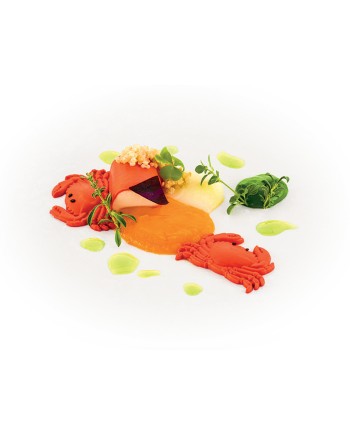 Plaque silicone 12 crabes