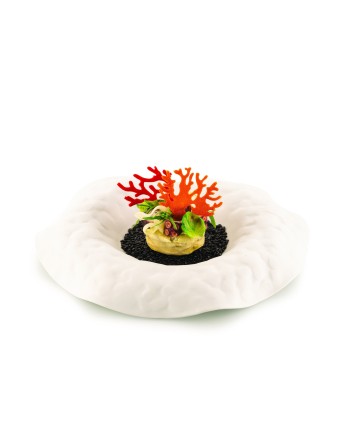 Plaque silicone 21 coraux