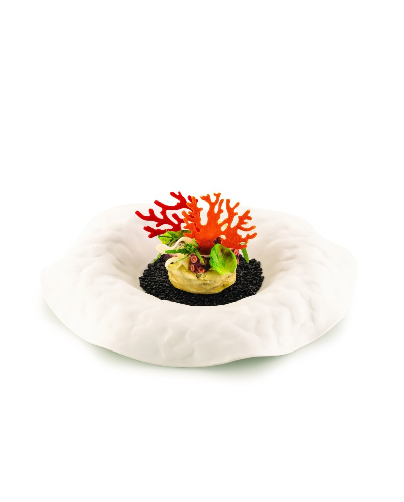 Plaque silicone 21 coraux - photo 2
