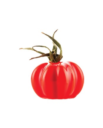 Plaque silicone 12 tomates