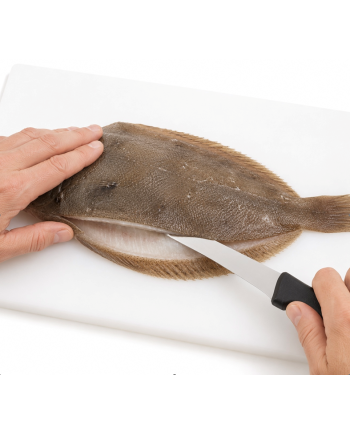 Couteau à filet de sole - photo 2