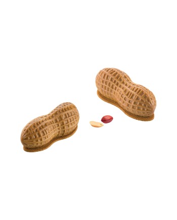 Moule silicone cachuètes