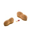 Moule silicone cachuètes