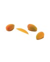 Moule silicone 16 mini mangues