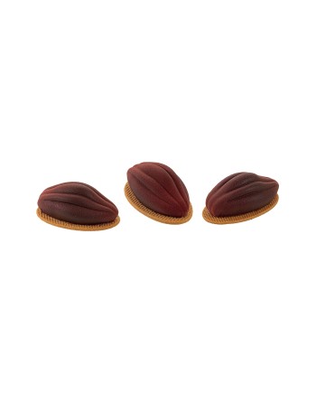 Moule silicone 12 mini cabosses