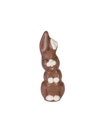 Moule plexi lapin rieur