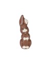 Moule plexi lapin rieur