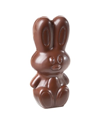 Moule à chocolat magnétique lapin