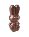 Moule à chocolat magnétique lapin