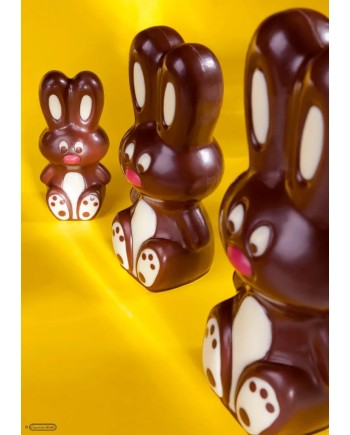 Moule à chocolat magnétique lapin - photo 2