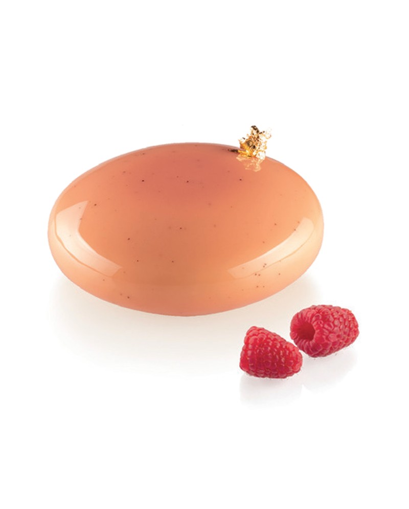 Plaque silicone 4 moules pebble