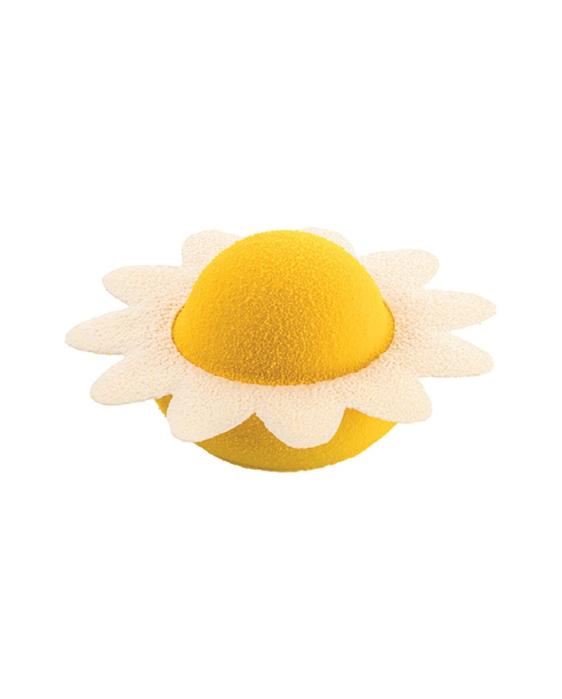 Plaque silicone 8 moules fleurs daisy