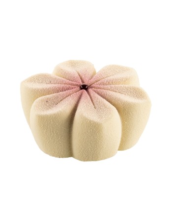 Plaque silicone 6 fleurs Hana