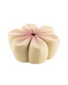 Plaque silicone 6 fleurs Hana