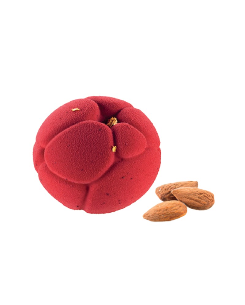 Plaque silicone 6 moules atome
