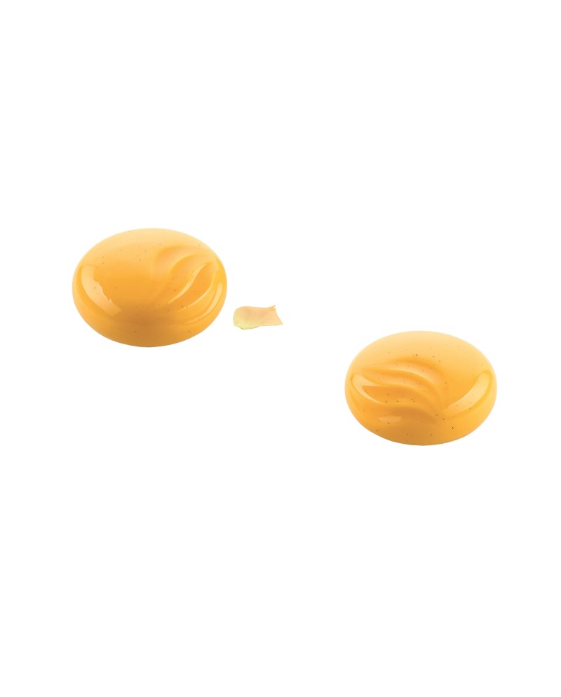 Plaque silicone 6 moules ocean