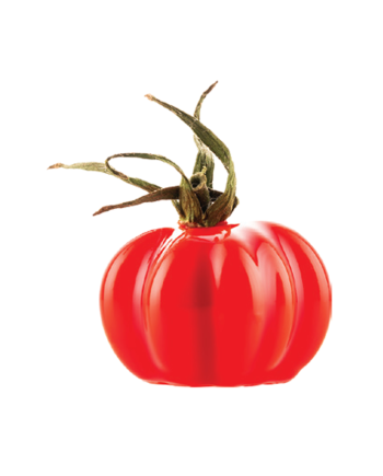 Moule silicone pomodoro