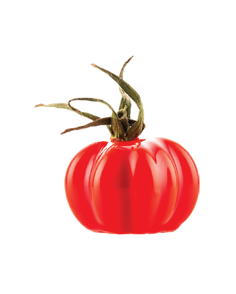 Moule silicone pomodoro