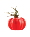 Moule silicone pomodoro
