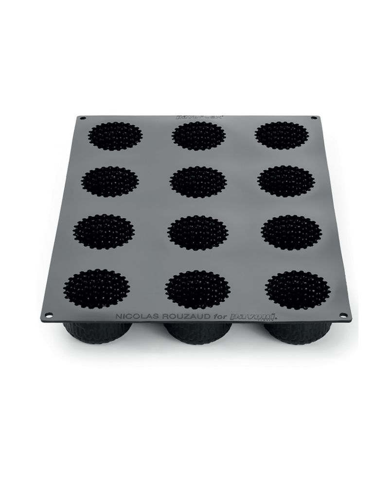 Plaque moule silicone regalia
