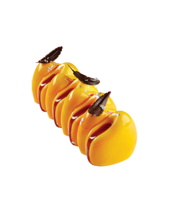 Moule buche silicone canyon