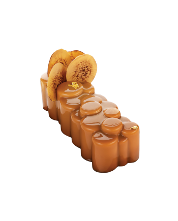 Moule buche silicone coin