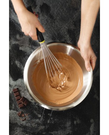 Fouet à sauces manche exoglass