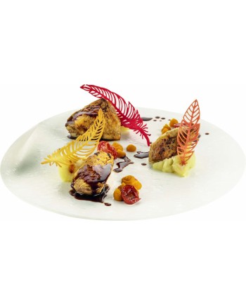 Moule Silikomart Naturae 20 plumes