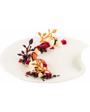 Moule Silikomart Naturae 24 branches - Eden