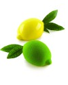 Moule Silikomart 4 citrons 88,5x61,5xh44,7 mm - 120 ml