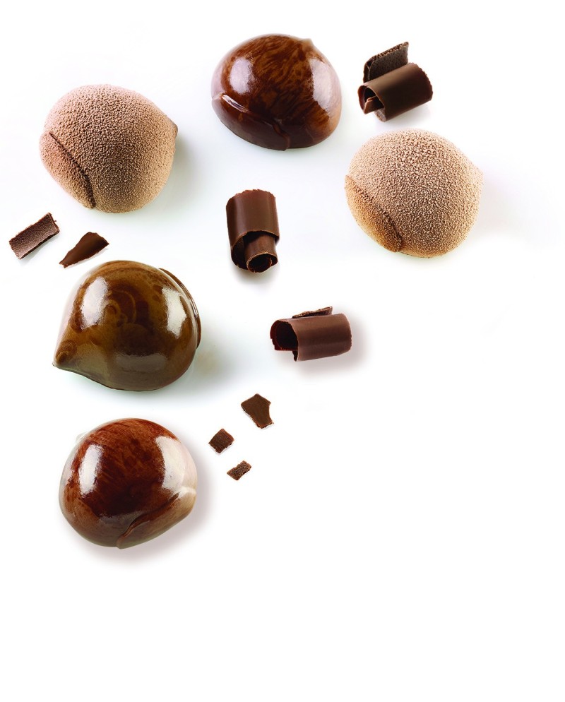 Moule Silikomart 15 marrons 47x48xh25 mm
