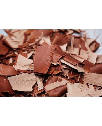 Appareil électrique à copeaux chocolat 220V