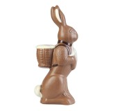 Moule plexi lapin avec hotte 620 mm