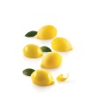 Moule silicone 15 mini citrons