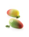 Moule silicone 6 mangues