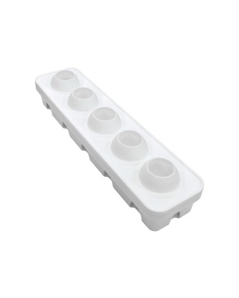 Moule silicone 5 noisettes