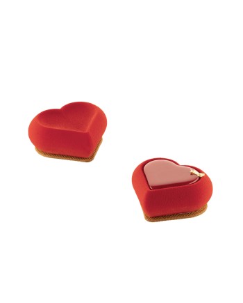 Moule silicone 6 coeurs heartix