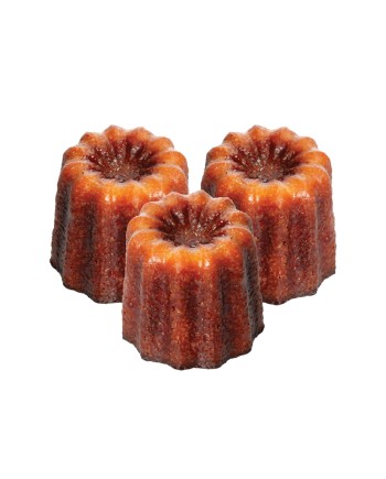 Moule silicone canelés