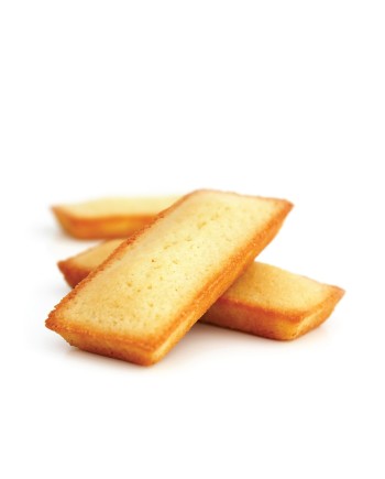 Moule silicone financiers
